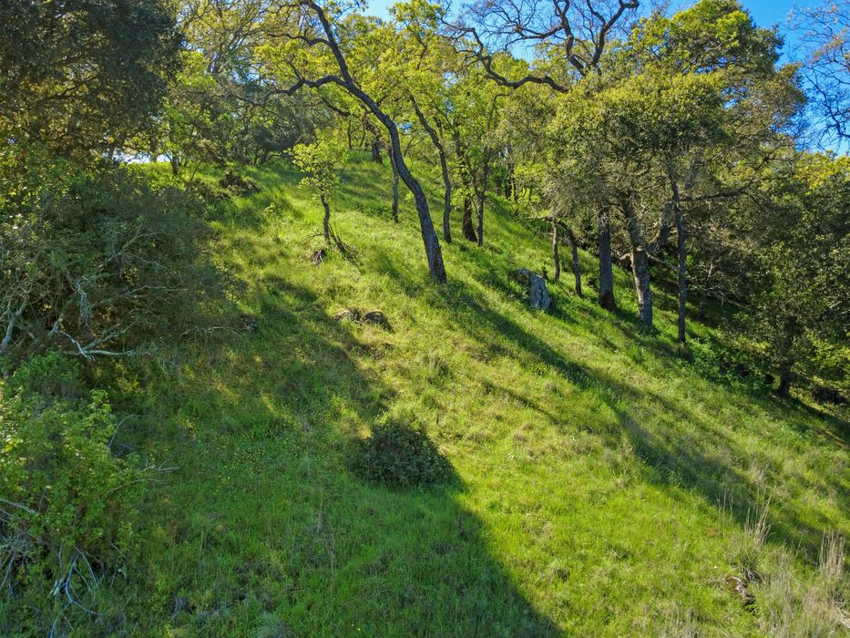 17556 Chesbro Lake Drive, Morgan Hill