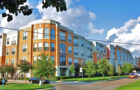 Picture of Briar Texas