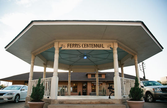 Picture of Ferris Texas Gizibo