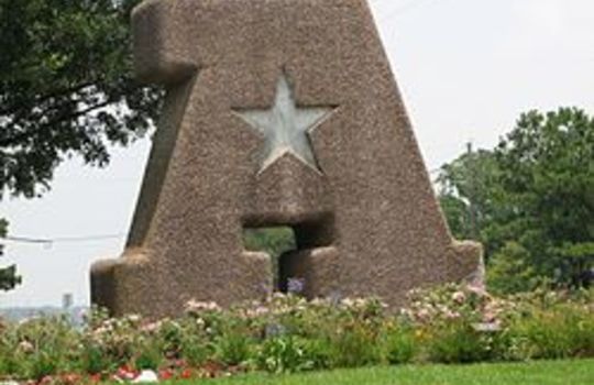 Atascocita Giant stone letter A