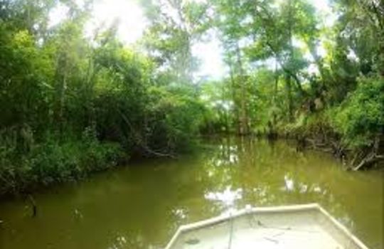Bayou Texas of a Bayou