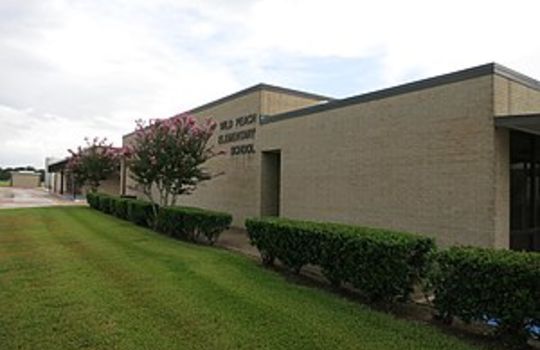 Picture of Wild Peach Village Elementry