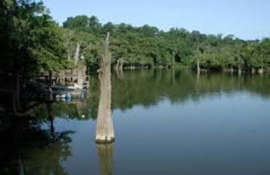 Picture of Dayton Lakes Texas