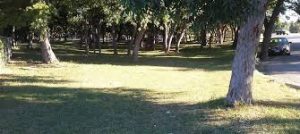 Picture of a park in Elmendorf Texas