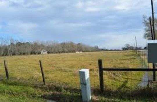 Picture of a grass field in Old River-Winfree Texas