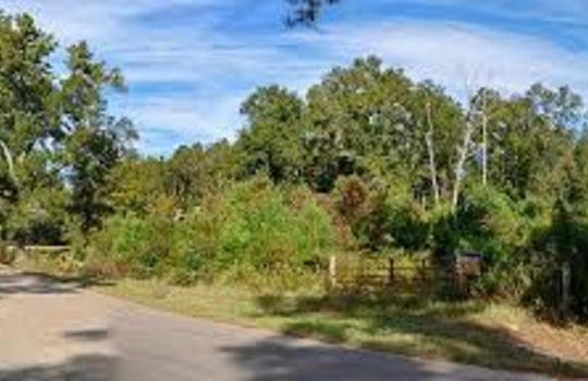 Picture of Plum Grove Texas road