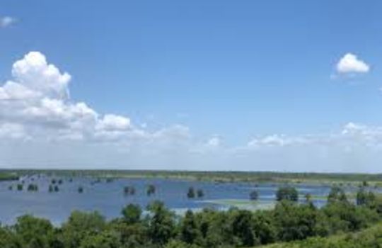 Picture of Sheldon Texas Lake