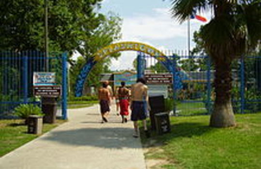 Picture of Spring Texas park