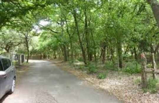Street in Grey Forest Texas