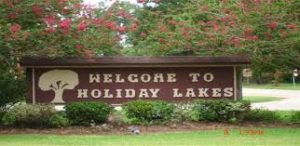 Picture of Holiday Lakes Texas Welcome sign