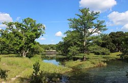 Picture of Cypress creek in Woodcreek Texas