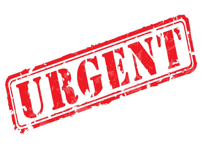Develop A Sense Of Urgency To Everything You Do…