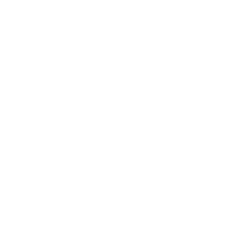 The Sawyer Team White Logo