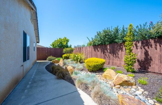 33-Back Yard