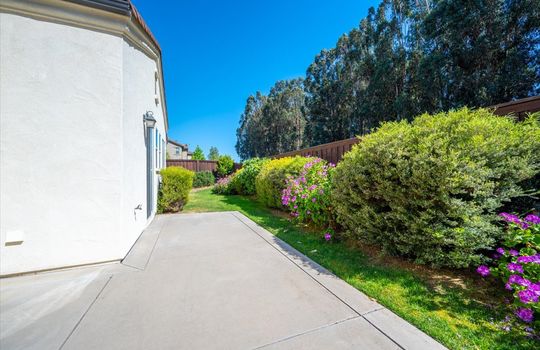 37-Back Yard