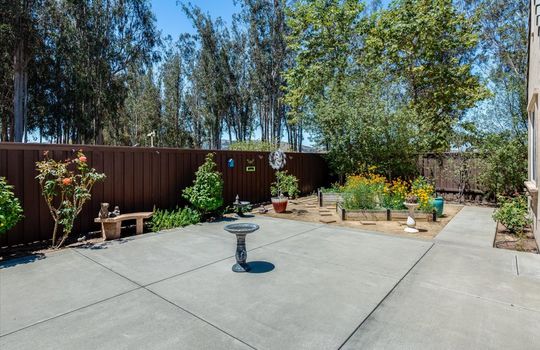 1172 Hastings Ct - Back Yard 04