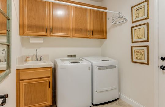 1172 Hastings Ct - Laundry Room 01