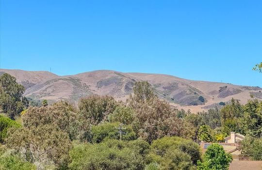 30-Back Yard View