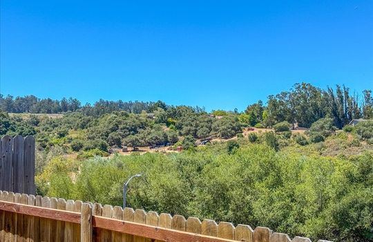 31-Back Yard View