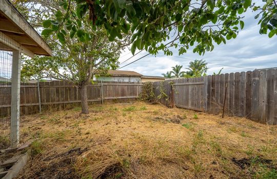 28-Back Yard