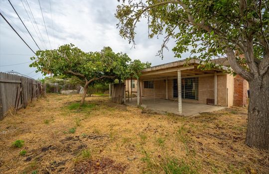 29-Back Yard
