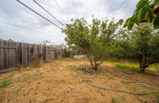 30-Back Yard