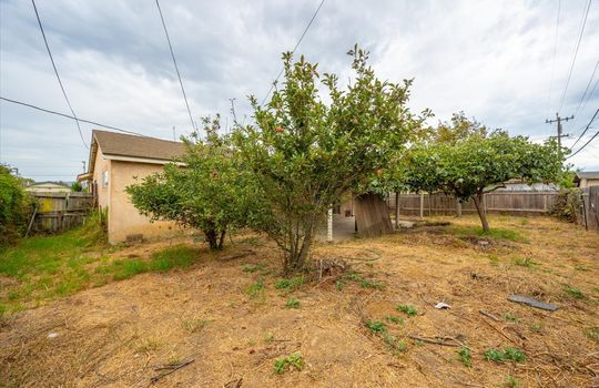 31-Back Yard
