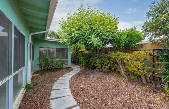 27-Back Yard