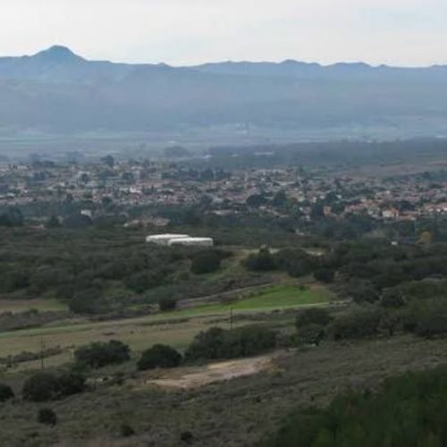 Top-Rated Real Estate Agents in Vandenberg Village