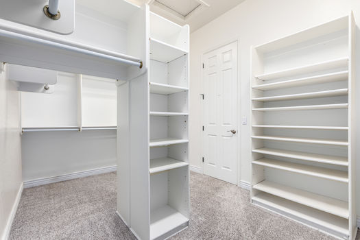 41 &#8211; Cambridge