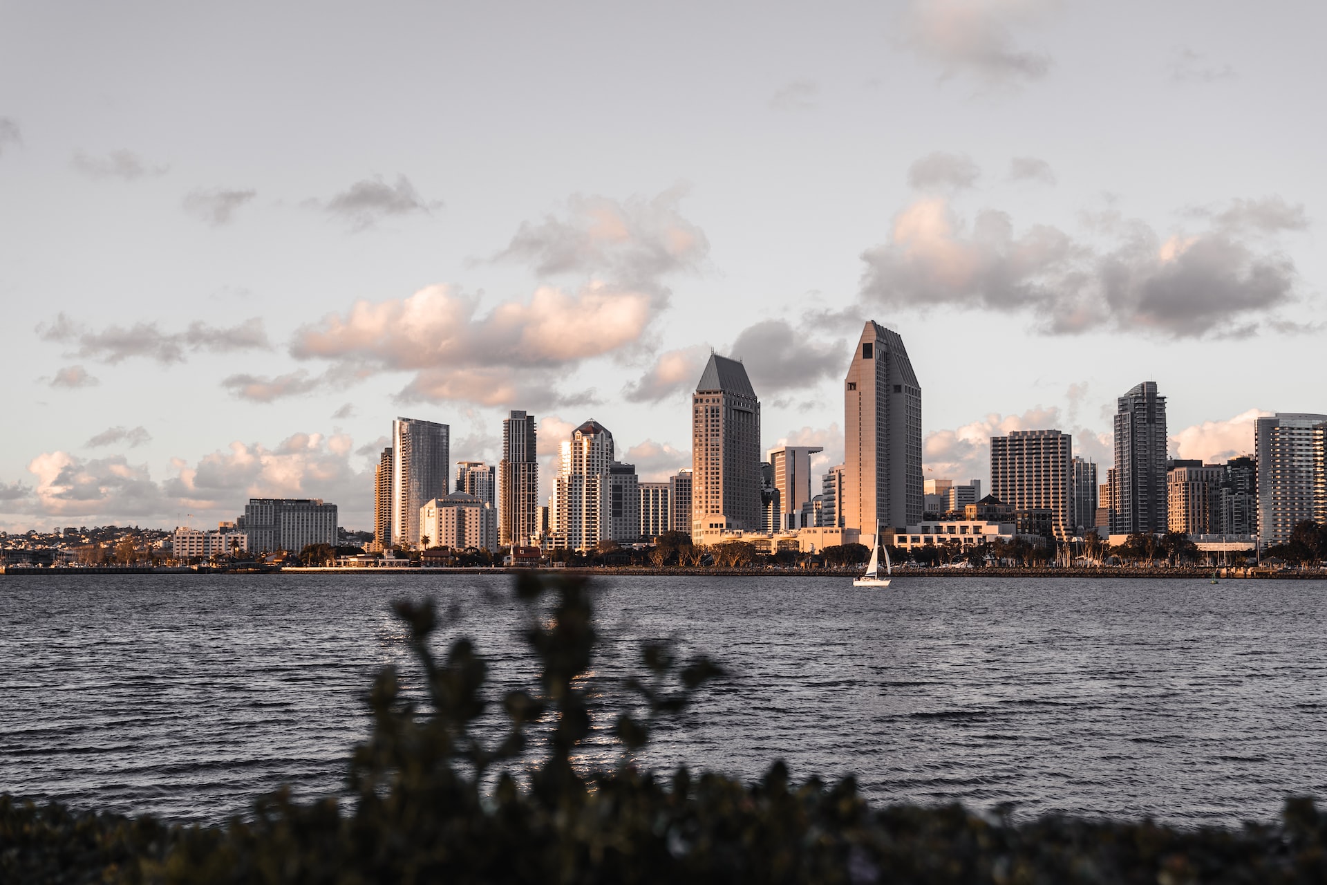 San Diego Area Guide
