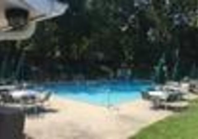 Alpine-Forest-Pool-1