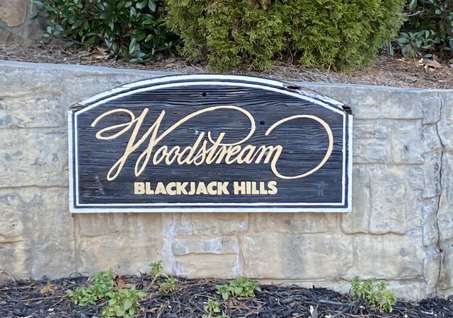 Blackjack-Hills-Neighborhood