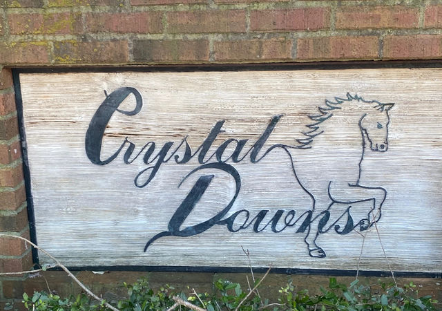 Crystal-Downs-Neighborhood