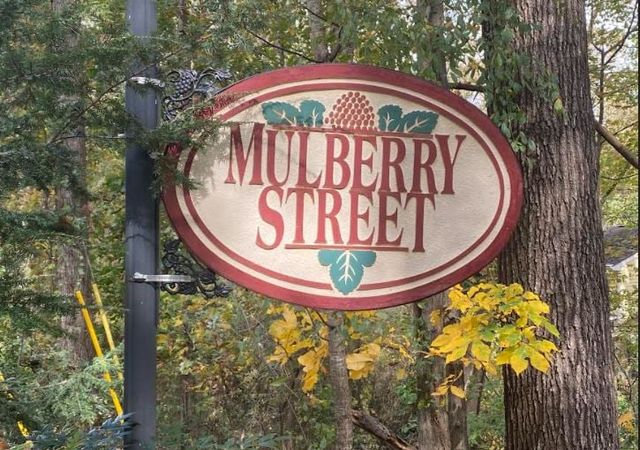 Mulberry-Street-3-1