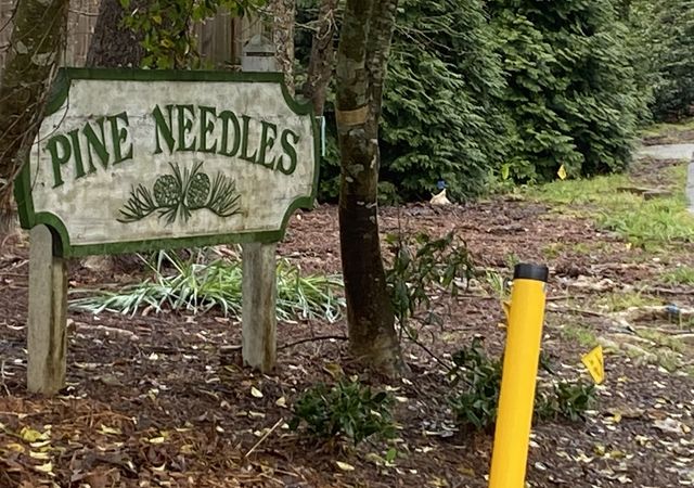 Pine-Needles-Neighborhood