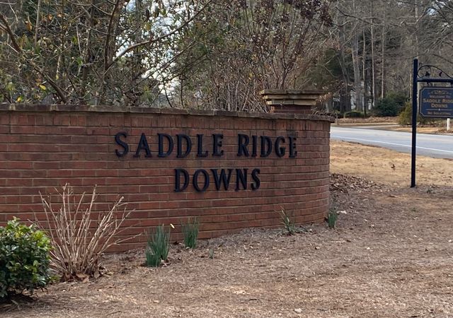 Saddle-Ridge-Downs-Neighborhood
