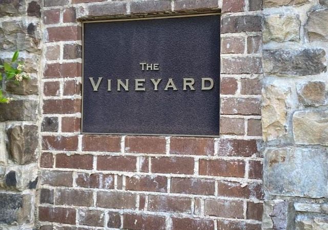 The-Vineyard-3