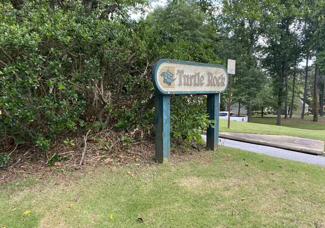 Turtle-Rock-Marietta-1-min-1