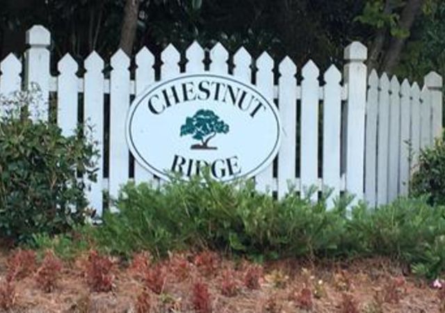 chestnutridgemarietta