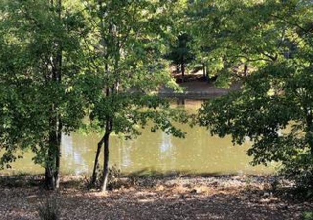 starrlakeamenities2.