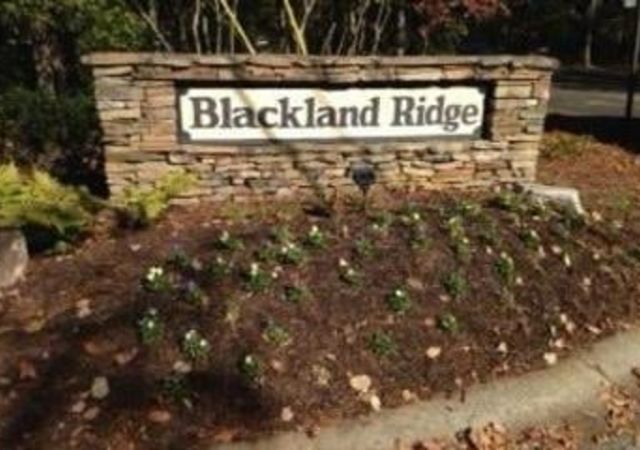 Blackland-Ridge-Neighborhood