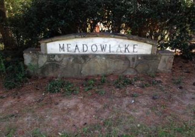 meadowlakedunwoody