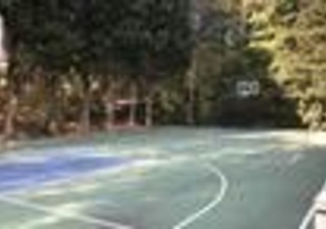 waterfordgreenbasketball