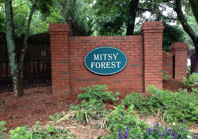 Mitsy-Forest1