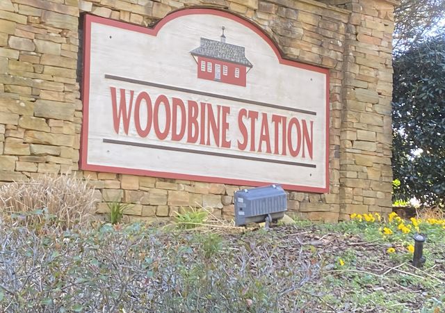 Woodbine-Station-Neighborhood