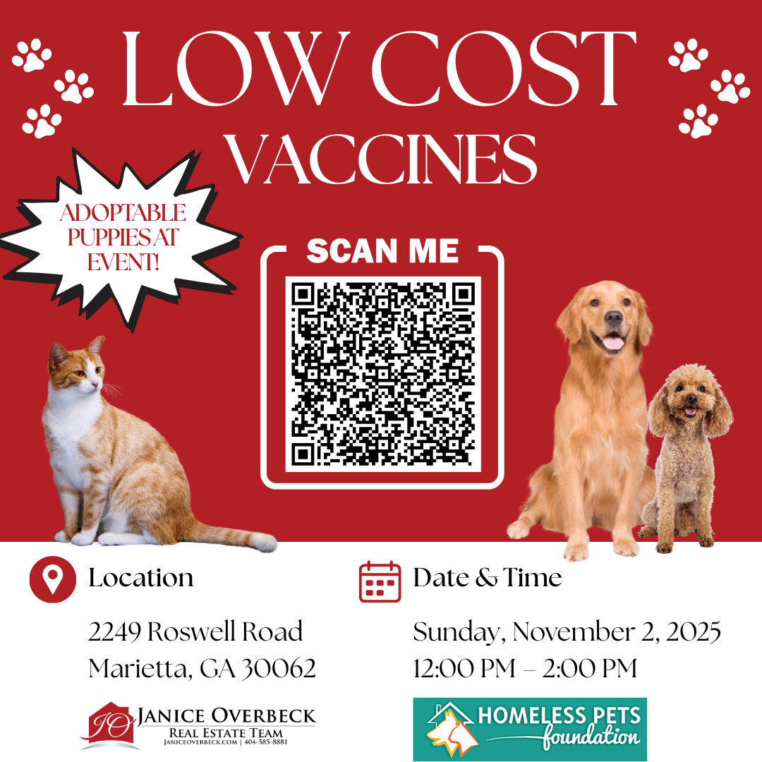 Purple and Yellow Modern Vet & Pet Shop Free Vaccines Promotion Instagram Post (5)