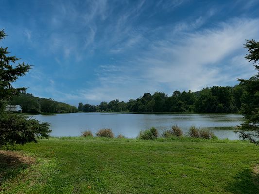 Waterfront Properties