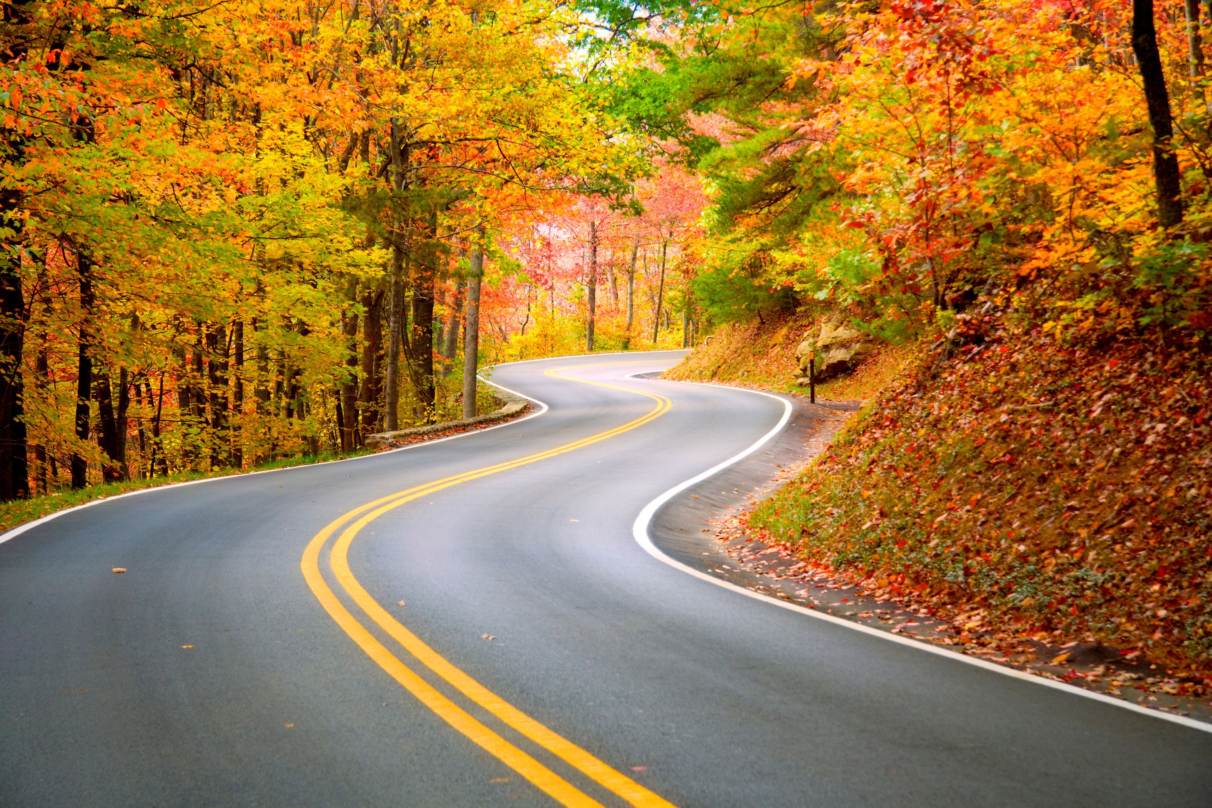 winding-road