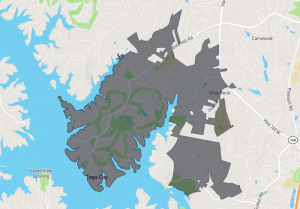 tega cay.png